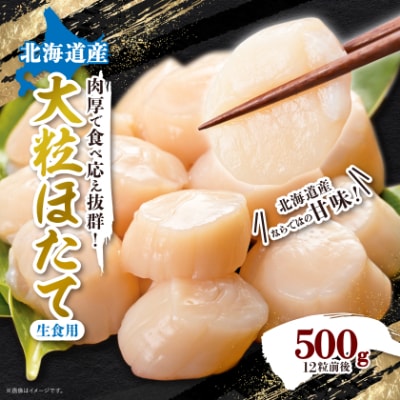 【緊急支援品】 Lサイズ ほたて 12粒前後 約500g 玉冷 貝柱 刺身用