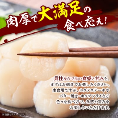 【緊急支援品】 Lサイズ ほたて 12粒前後 約500g 玉冷 貝柱 刺身用