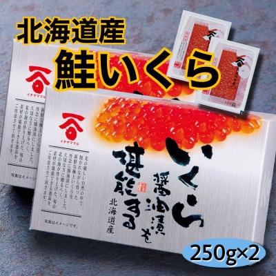 【2023年2月下旬発送】北海道産イチヤママル長谷川水産　自慢の真子いくら醤油漬け250g×2個