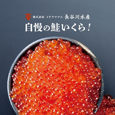 北海道産 いくら醤油漬　250g×2　イチヤママル長谷川水産