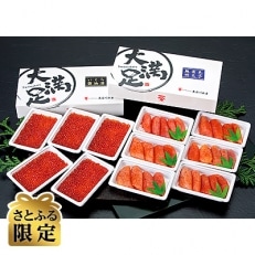 【さとふる限定】いくら醤油漬110g×5パック 無着色明太子120g×6パック 合計約1.2kg