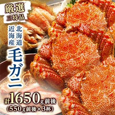 3特毛ガニ 550g前後×3尾 海鮮 北海道 八雲町