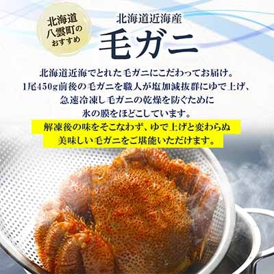 【厳選三特品】北海道近海産毛ガニ 450g前後×2尾 海鮮 北海道 八雲町