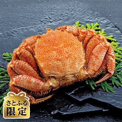 さとふる限定【厳選三特品】北海道産近海毛ガニ800g前後×1尾