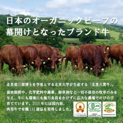 【さとふる限定】北海道産 オーガニック牛肉 挽肉(ひき肉) 約1.2kg【国産牧草牛・北里八雲牛】