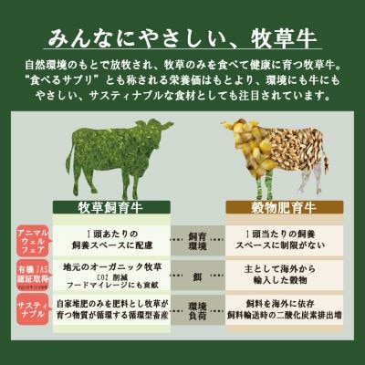 【さとふる限定】北海道産 オーガニック牛肉 挽肉(ひき肉) 約1.2kg【国産牧草牛・北里八雲牛】