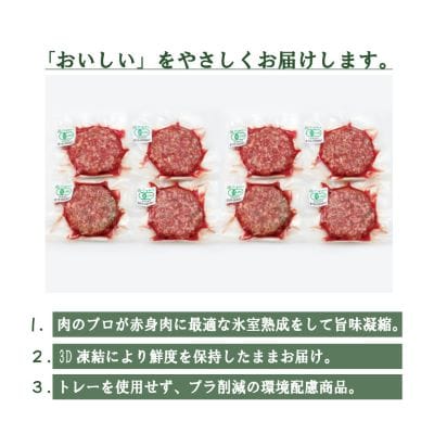 北海道産 オーガニック牛肉 生ハンバーグ約800g【 国産牧草牛・北里八雲牛】