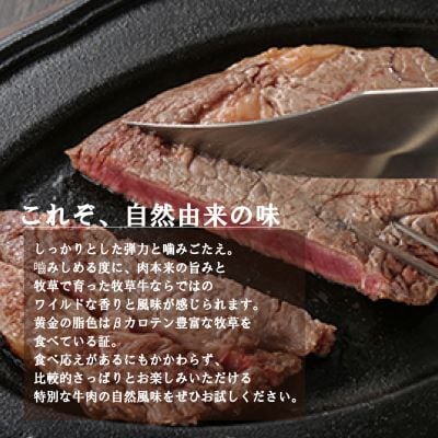 北海道産 オーガニック牛肉 ロースステーキ約360g　塩付き【国産牧草牛・北里八雲牛・熊石の塩】