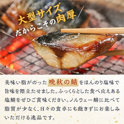 北海道産　無添加　塩鯖　合計18切(2切×9パック)大型サイズ塩サバ　使いやすい小分け　カット品