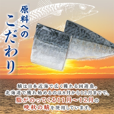 北海道産　無添加　塩鯖　合計18切(2切×9パック)大型サイズ塩サバ　使いやすい小分け　カット品