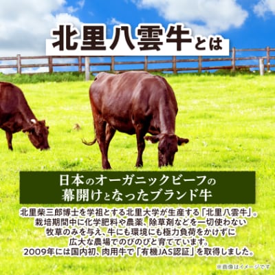 北里八雲牛　グラスフェッド牛肉　贅沢焼き肉セット　おまかせ5部位　合計700g
