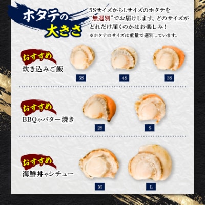 【訳あり】【緊急支援品】高圧スチーマー仕上げ　蒸しホタテサイズ無選別1.6kg