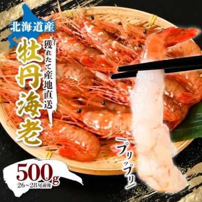牡丹海老500g　中サイズ　26～28尾程度