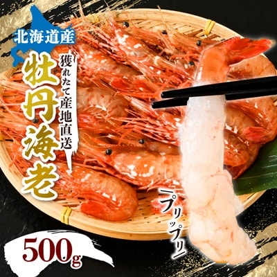 牡丹海老500g　中サイズ　25尾程度
