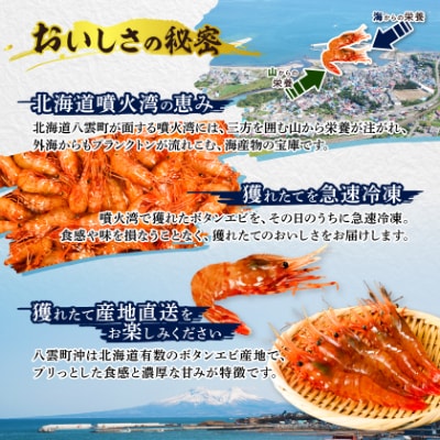 牡丹海老500g　中サイズ　26～28尾程度