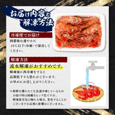 牡丹海老500g　中サイズ　26～28尾程度