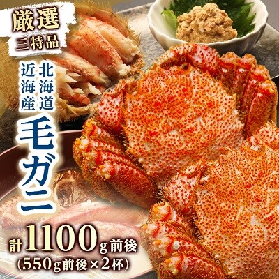 2023年8月発送開始『定期便』【厳選三特品】北海道近海産毛ガニ 2杯 全3回