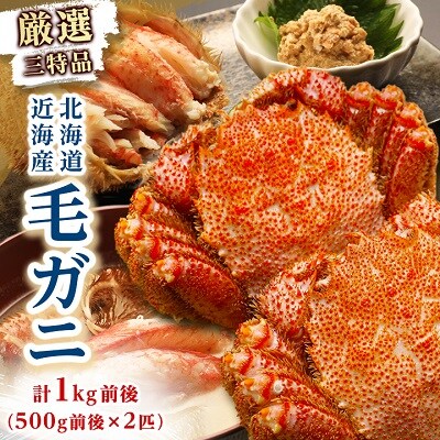 2023年8月発送開始『定期便』【厳選三特品】北海道近海産毛ガニ [500g前後×2匹] 全3回