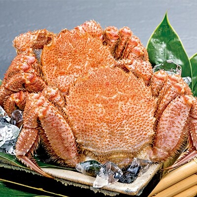 2023年8月発送開始『定期便』【厳選三特品】北海道近海産毛ガニ [500g前後×2匹] 全3回