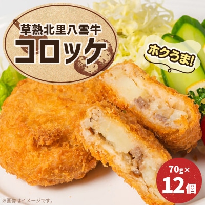 草熟北里八雲牛コロッケ 70g×12個