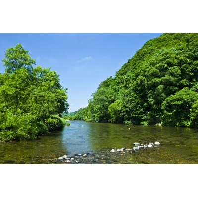 北海道　八雲ユーラップ　YK-300
