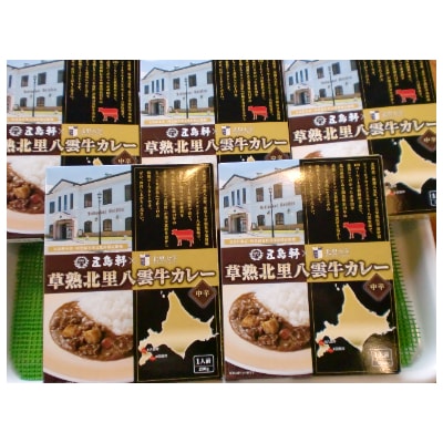 草熟北里八雲牛カレー　5個セット