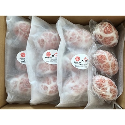 【熨斗つき・ギフト用】八雲霜降りハンバーグ80g×12個セット