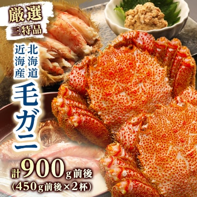 【厳選三特品】北海道近海産毛ガニ 450g前後×2尾 海鮮 北海道 八雲町