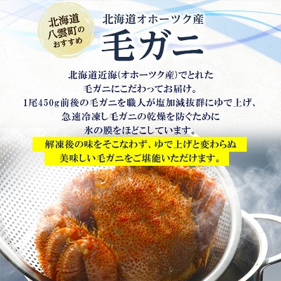 【厳選三特品】北海道近海産毛ガニ 450g前後×2尾 海鮮 北海道 八雲町