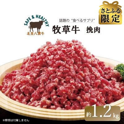 【さとふる限定】北海道産 オーガニック牛肉 挽肉(ひき肉) 約1.2kg【国産牧草牛・北里八雲牛】