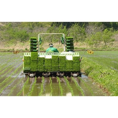 【毎月定期便】【北海道八雲町熊石産】ゆめぴりか5kg(精白米) 全6回