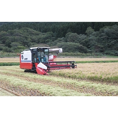 【毎月定期便】【北海道八雲町熊石産】ゆめぴりか5kg(精白米) 全6回