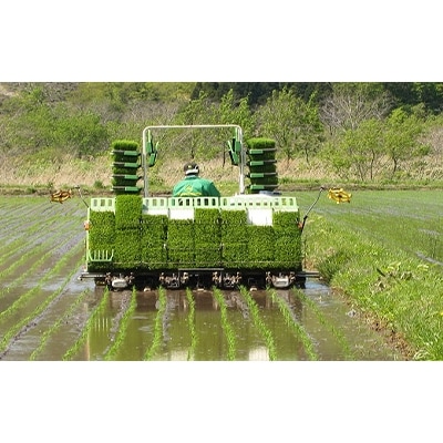 【毎月定期便】【北海道八雲町熊石産】ゆめぴりか10kg(5kg×2袋)全3回