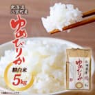 【毎月定期便】【北海道八雲町熊石産】ゆめぴりか5kg(精白米) 全3回