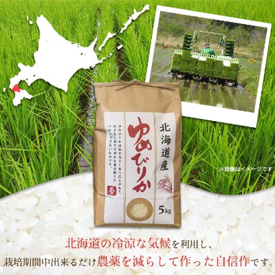 【毎月定期便】【北海道八雲町熊石産】ゆめぴりか5kg(精白米) 全3回