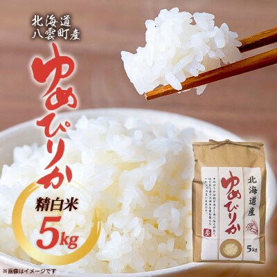【毎月定期便】【北海道八雲町熊石産】ゆめぴりか5kg(精白米) 全6回