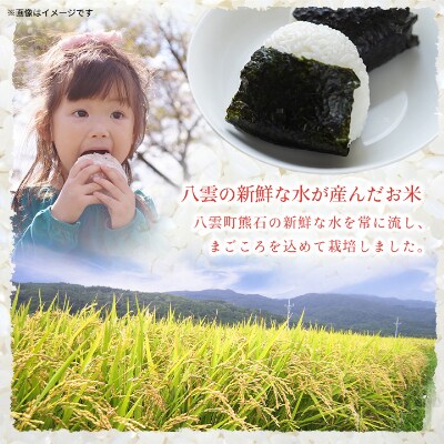【毎月定期便】【北海道八雲町熊石産】ゆめぴりか10kg(5kg×2袋)全3回
