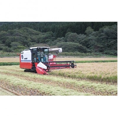 【毎月定期便】【北海道八雲町熊石産】ゆめぴりか10kg(精白米)全3回