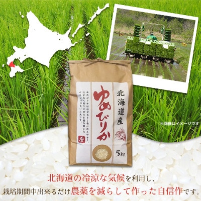 【毎月定期便】【北海道八雲町熊石産】厳選ゆめぴりか 5kg(精白米)全2回