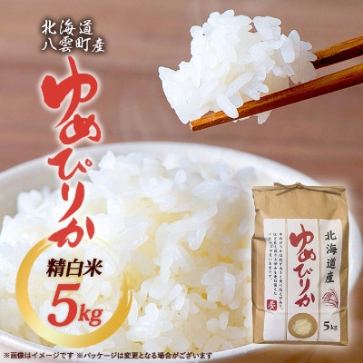 【毎月定期便】【北海道八雲町熊石産】厳選ゆめぴりか 5kg(精白米)全6回