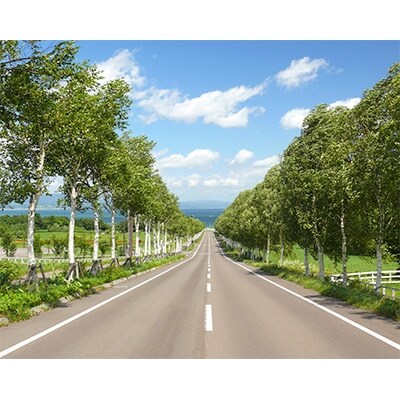 北海道八雲町　宿泊割引券3千円分×8枚
