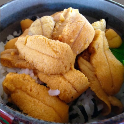 鮮度抜群!「門脇のウニ」　北海道産塩水生ウニ700g(100g×7パック)