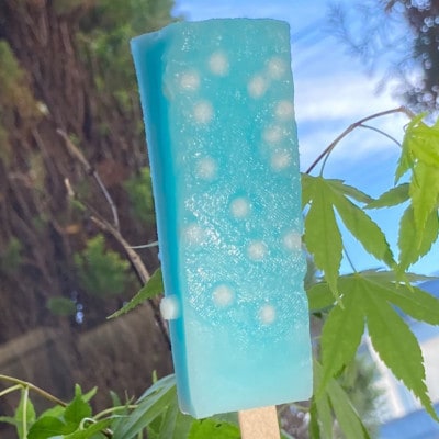 もっちり食感　アイスくずバー 9種類 (合計11本)
