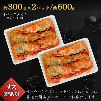 【数量限定】ボタン海老 大サイズ 約600g(約300g×2) 北海道八雲町産 卵あり 刺身用