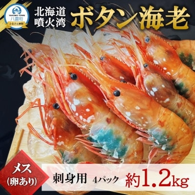 【数量限定】ボタン海老 大サイズ 約1.2kg(約300g×4) 北海道八雲町産 卵あり 刺身用