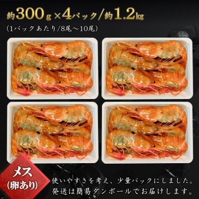 【数量限定】ボタン海老 大サイズ 約1.2kg(約300g×4) 北海道八雲町産 卵あり 刺身用