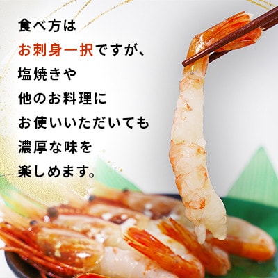 【数量限定】ボタン海老 大サイズ 約1.2kg(約300g×4) 北海道八雲町産 卵あり 刺身用