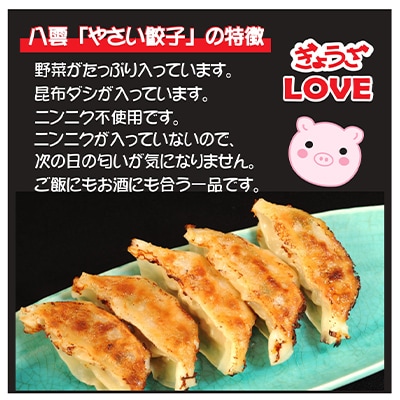 八雲やさい餃子+もろみ味噌餃子(各10個入×2箱)