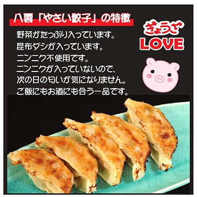 八雲やさい餃子(10個×2箱)+もろみ味噌餃子(10個×1箱)+スパイシーカレー餃子(10個×1箱)