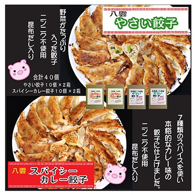 お酒によく合う　八雲やさい餃子+スパイシーカレー餃子(各10個入×2箱)